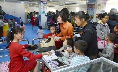 数字鸿沟 朝鲜网络接入的两极分化